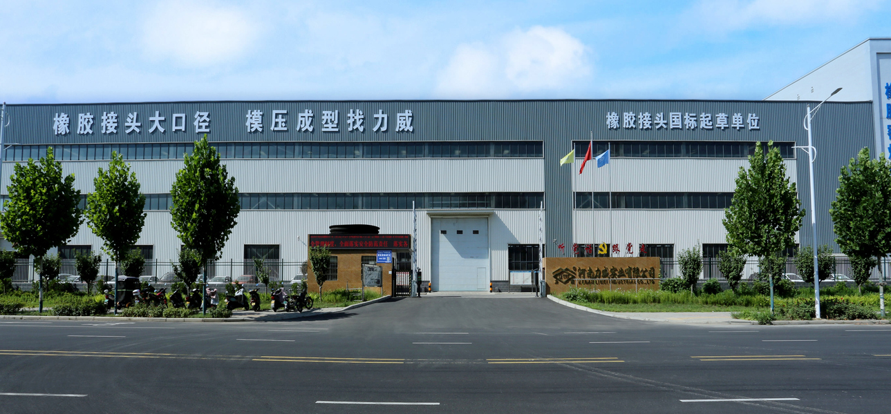 Henan Liwei Industry Co., Ltd. manufacturer production line